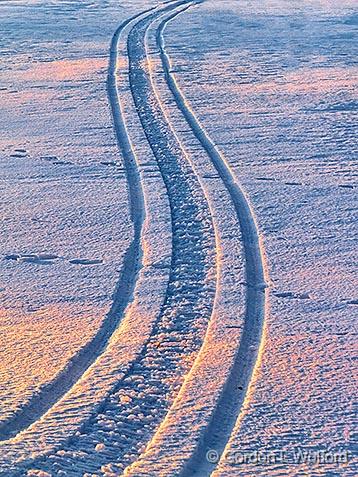 Snow Tracks_33724.jpg - Photographed near Smiths Falls, Ontario, Canada.